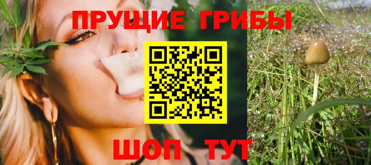 Псилоцибиновые грибы прущие грибы Владивосток