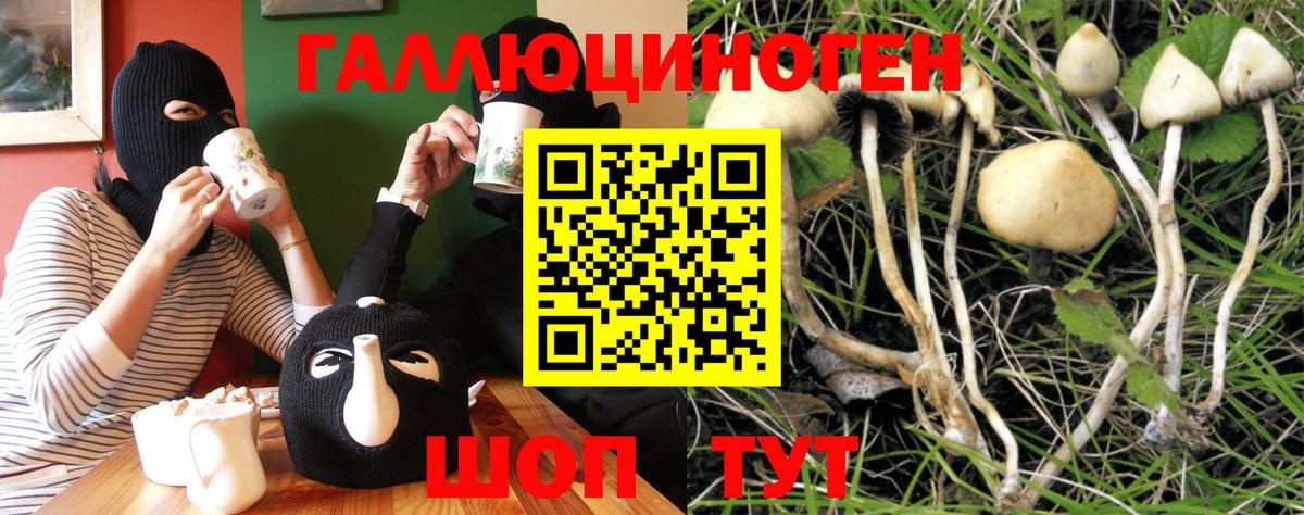 Владивосток  Псилоцибиновые грибы мухоморы  магазин продажи наркотиков  Псилоцибиновые грибы ЛСД  Вход с VPN 